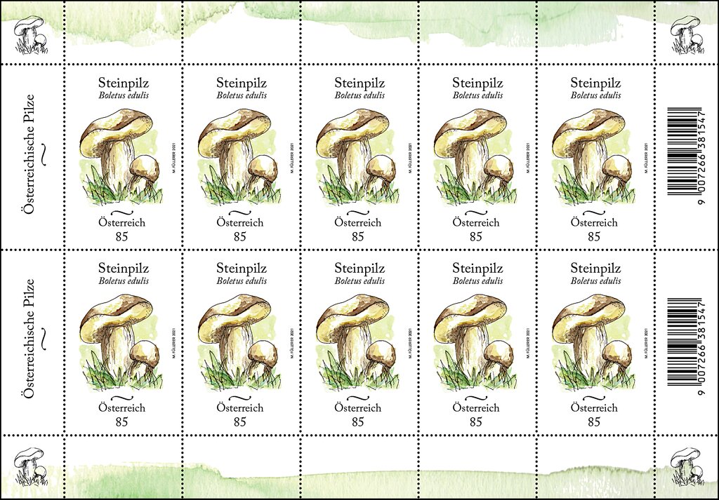 Cep (Boletus edulis)