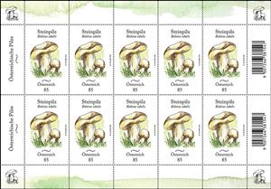 Mini Sheet, Cep (Boletus edulis), Austria,  , Mushrooms