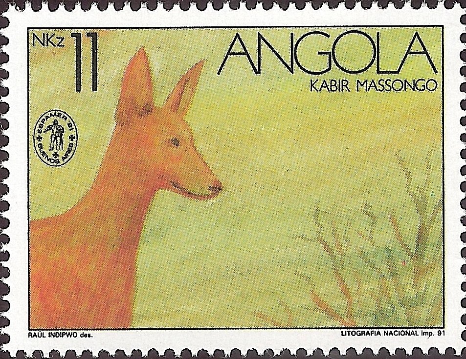 Kabir Massongo (Canis lupus familiaris) 