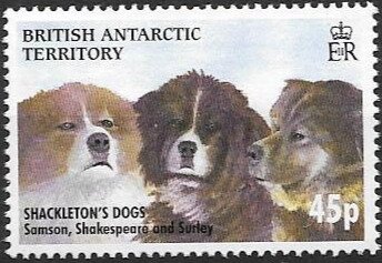 Stamp, Samson, Shakespear and Surley, British Antarctic Territory (BAT),  , Animals (Fauna), Dogs, Mammals