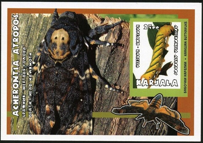 Acherontia atropos
