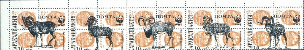 Animals