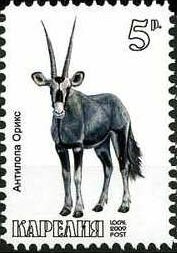 Animals