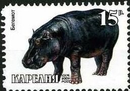 Animals