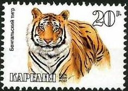 Animals