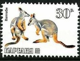 Animals