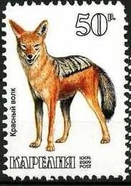 Animals