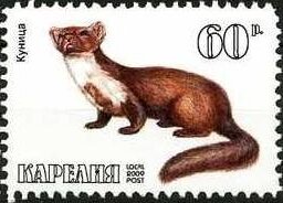 Stamp, Animals, Cinderellas,  , Animals (Fauna)