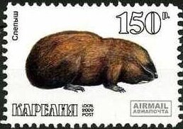 Stamp, Animals, Cinderellas,  , Animals (Fauna)