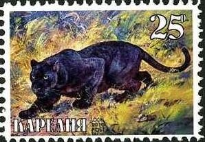 Animals