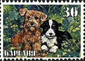Animals
