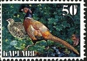 Stamp, Animals, Cinderellas,  , Animals (Fauna)