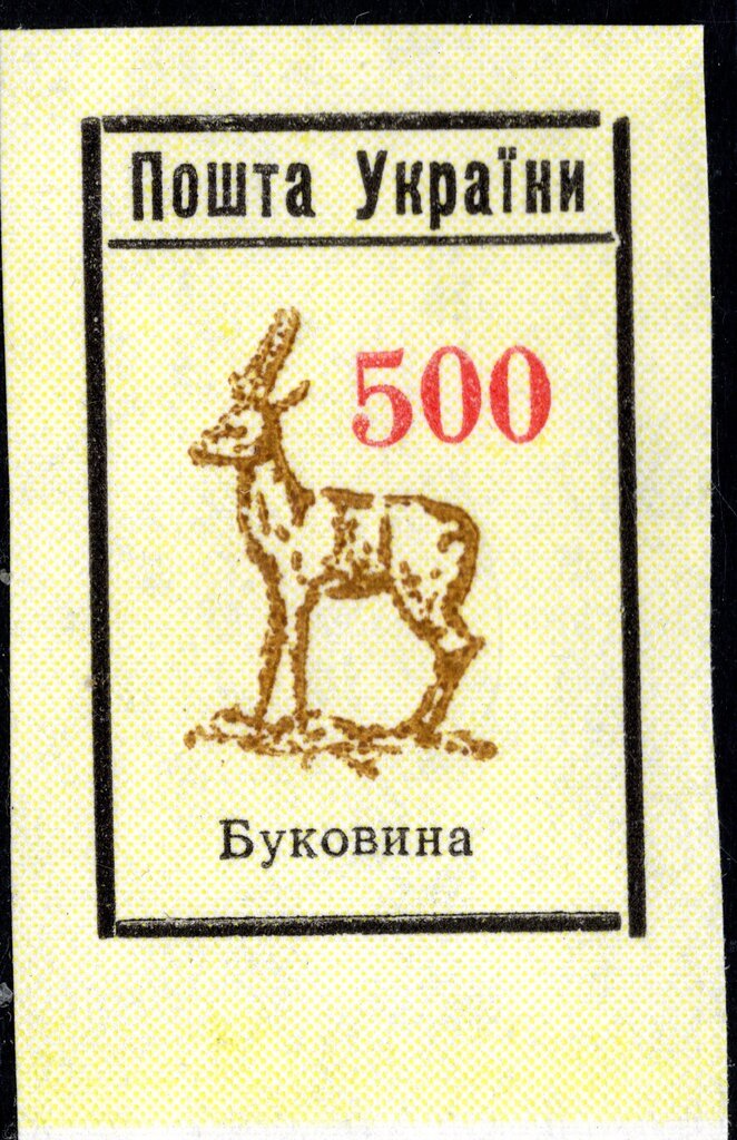 Antelope