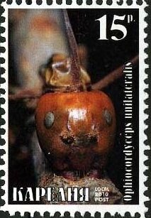Stamp, Ants, Cinderellas,  , Animals (Fauna), Insects