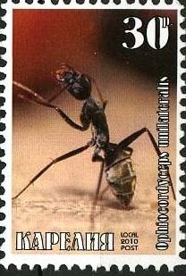 Stamp, Ants, Cinderellas,  , Animals (Fauna), Insects