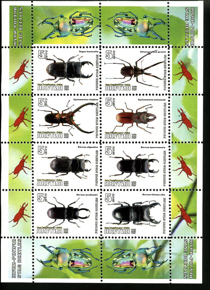 Beetles