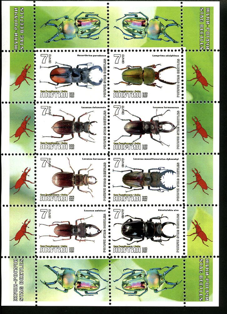 Beetles
