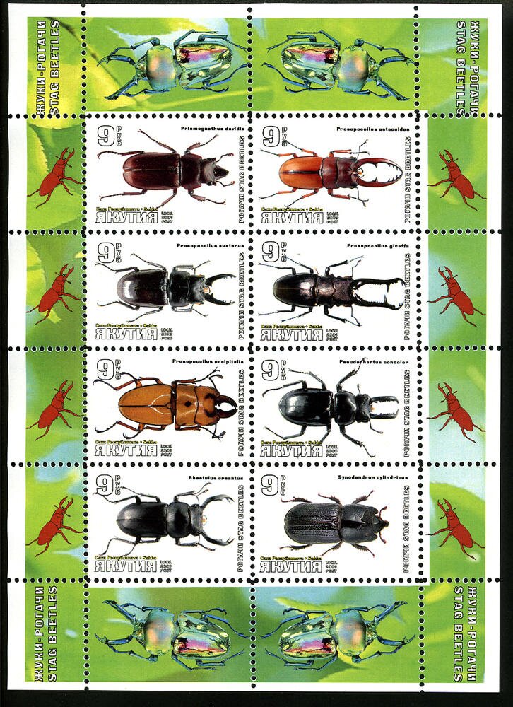 Beetles