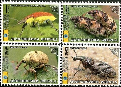 Beetles