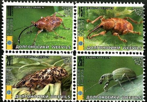 Beetles