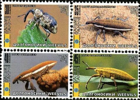 Beetles