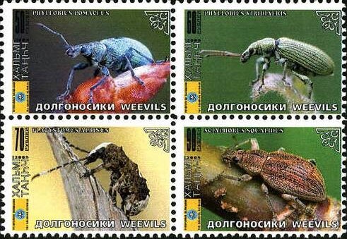 Beetles