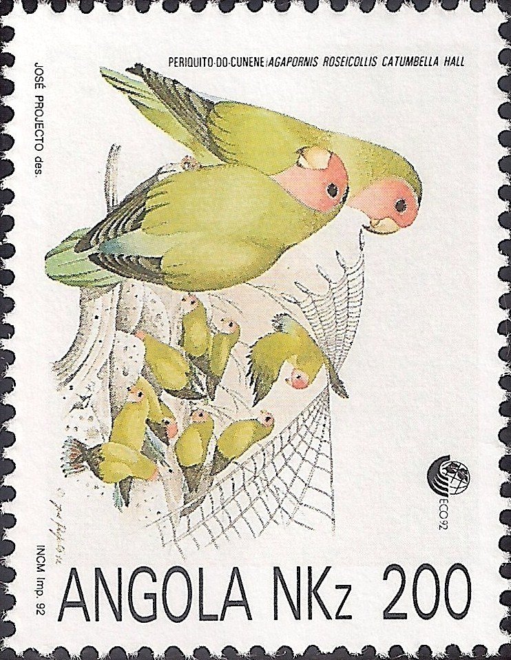 Rosy-faced Lovebird (Agapornis roseicollis ssp catumbella)