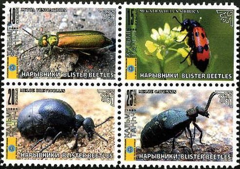 Beetles