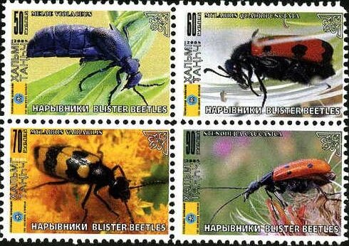 Beetles