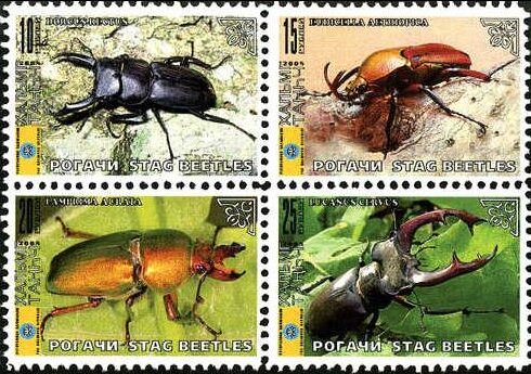 Beetles