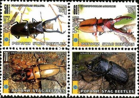 Beetles