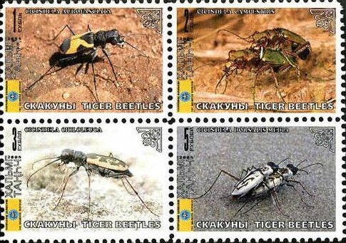 Beetles