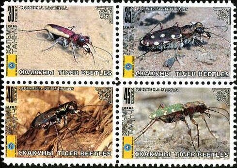 Beetles