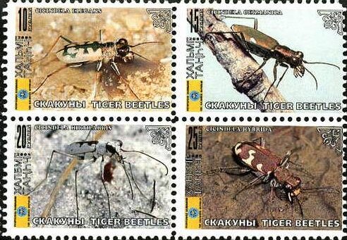 Beetles