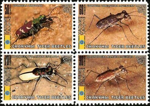 Beetles
