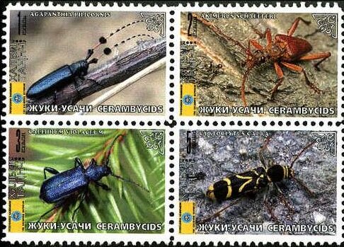Beetles