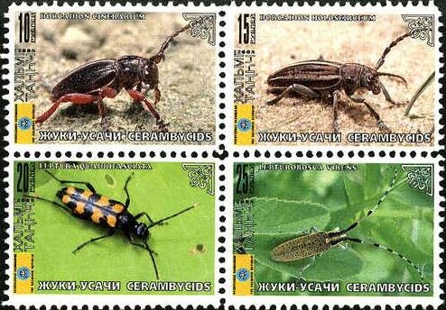 Beetles