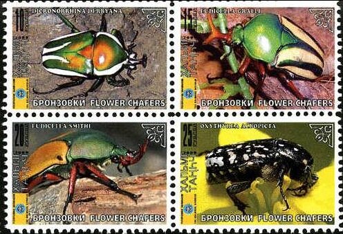 Beetles