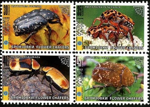 Beetles