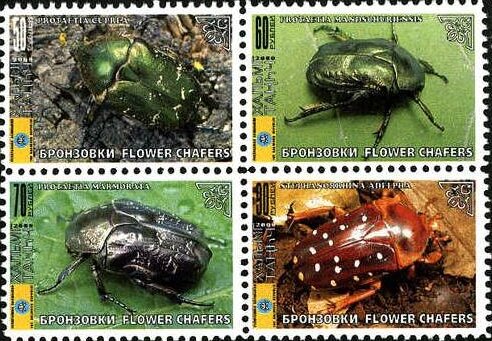 Beetles