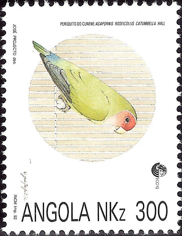 Rosy-faced Lovebird (Agapornis roseicollis ssp catumbella)