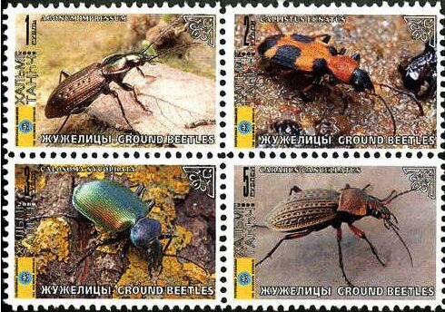 Beetles