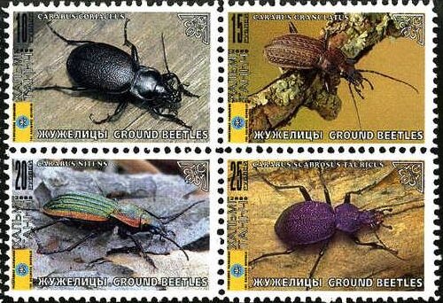 Beetles