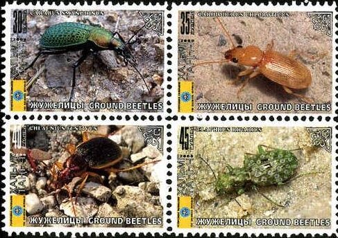 Beetles