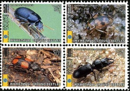 Beetles