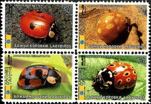 Beetles