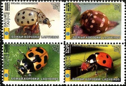 Beetles
