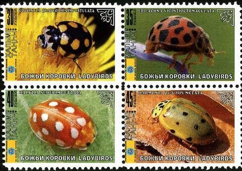 Beetles