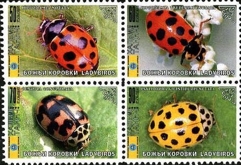 Beetles