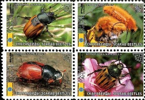 Beetles